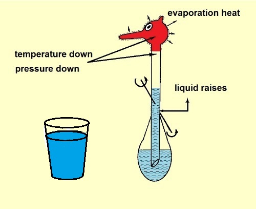 Drinking Bird